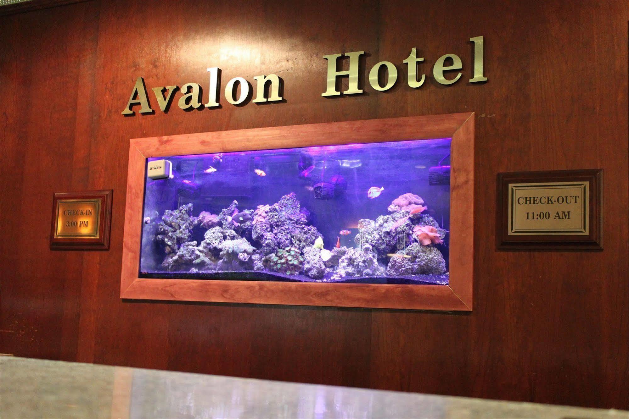 The Avalon Hotel And Conference Center Erie Exteriör bild